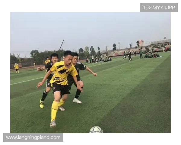 追逐绿茵梦想的旅程:我心中足球明星的愿景与坚持 追逐绿茵梦想的旅程:我心中足球明星的愿景与坚持