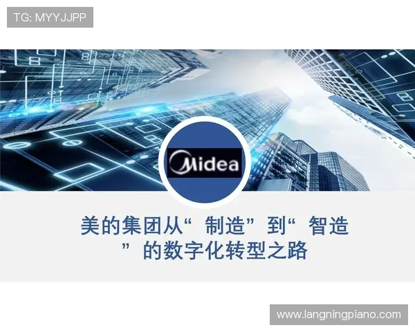 武汉排球队的转型之路：从传统强队到现代化竞技新标杆的探索与挑战