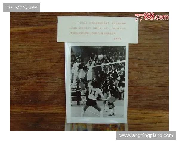 南京排球队在锦标赛中的速度优势与战术分析